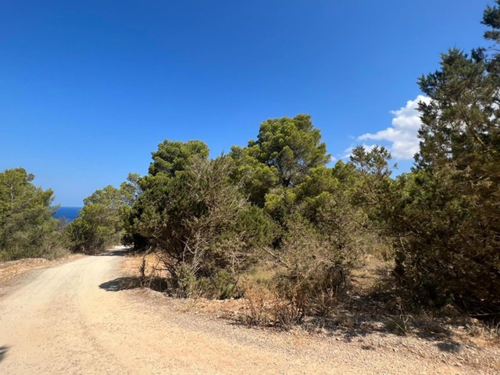 Plot à vendre à Ibiza 1