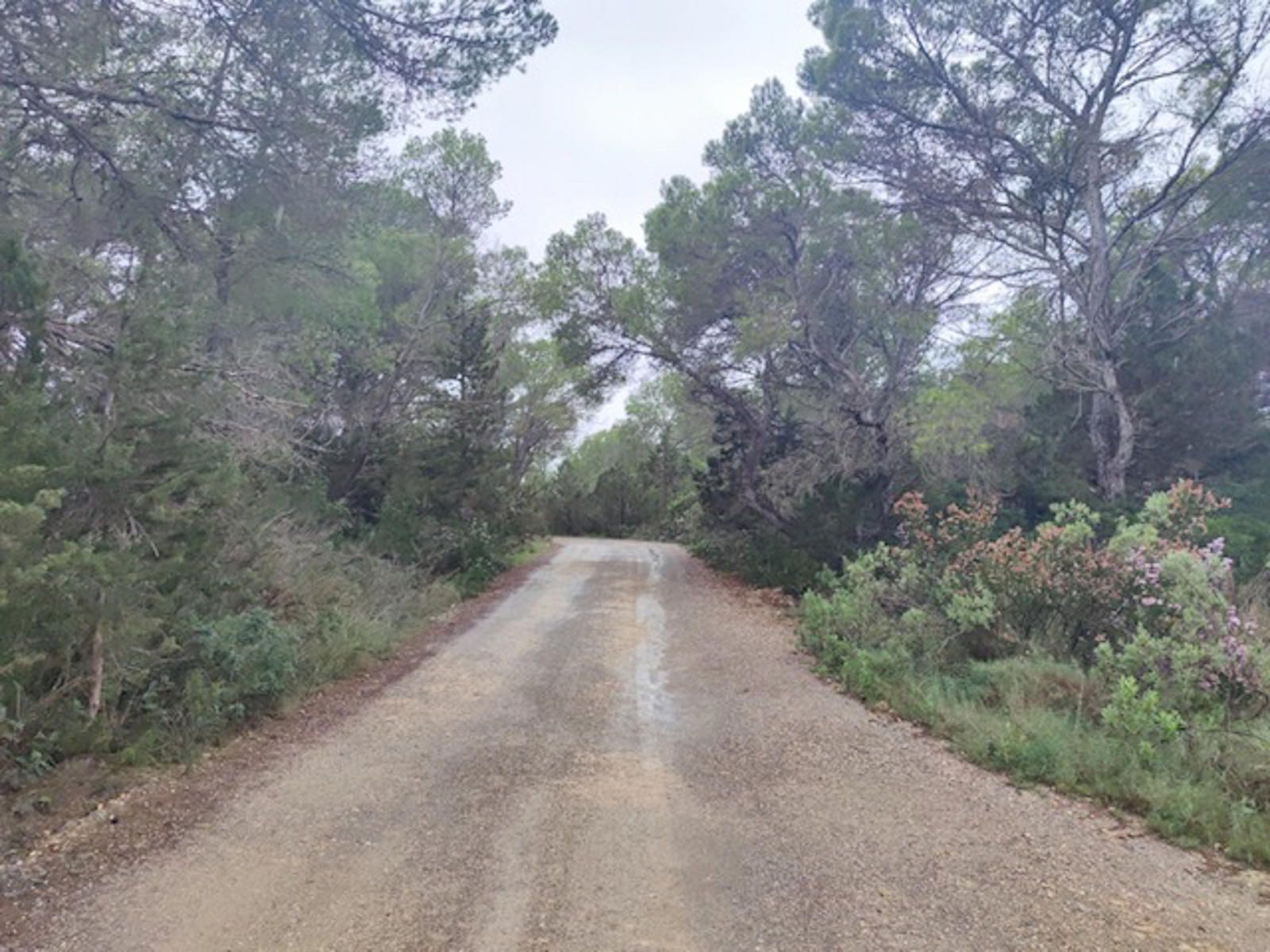 Plot à vendre à Ibiza 2