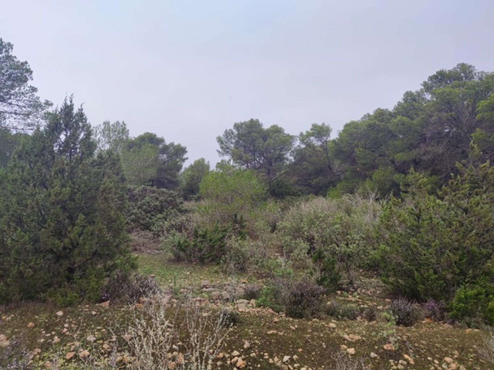 Plot à vendre à Ibiza 3