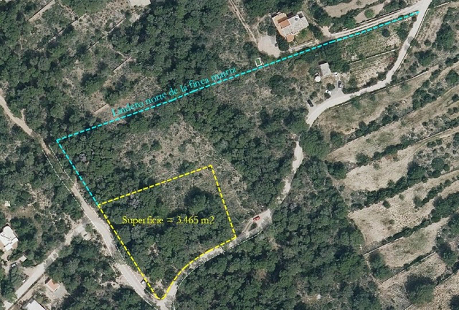 Plot à vendre à Ibiza 6