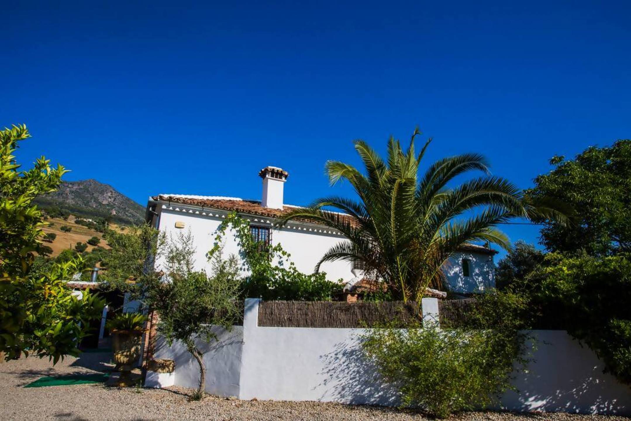 Villa for sale in The white villages of Sierra de Cádiz 2