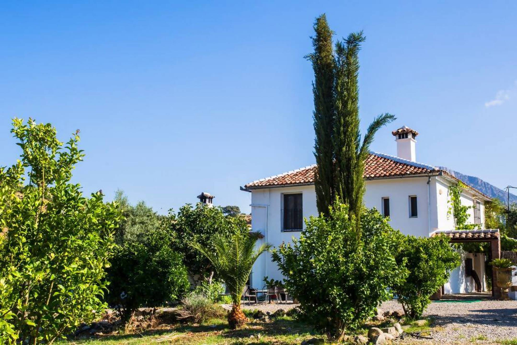 Willa na sprzedaż w The white villages of Sierra de Cádiz 3