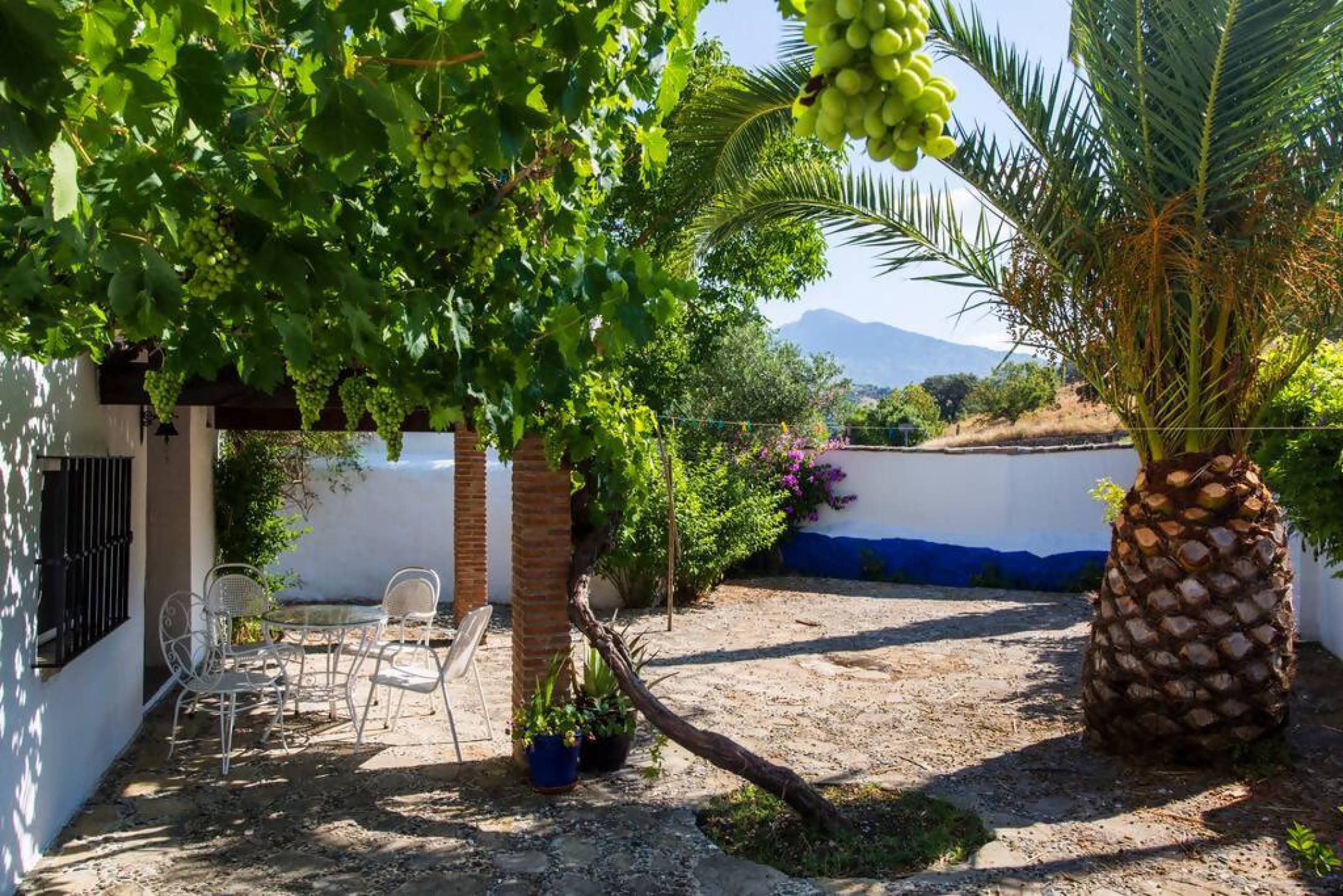 Villa te koop in The white villages of Sierra de Cádiz 8