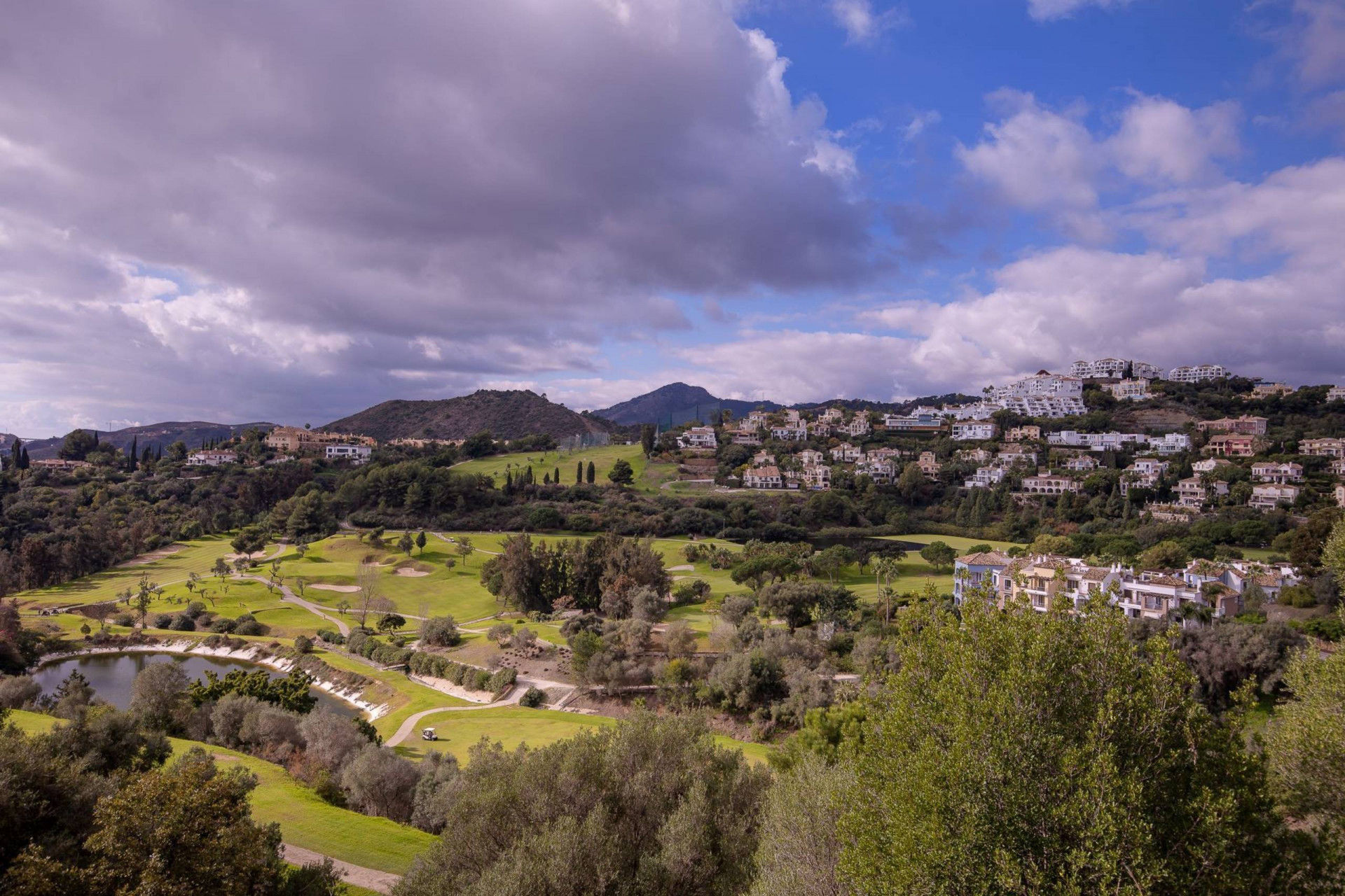 Villa à vendre à Benahavís 2