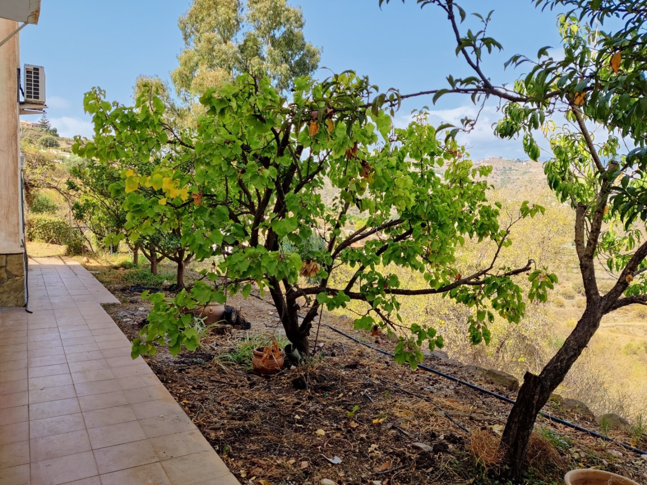 Landhaus zum Verkauf in Torrox 38