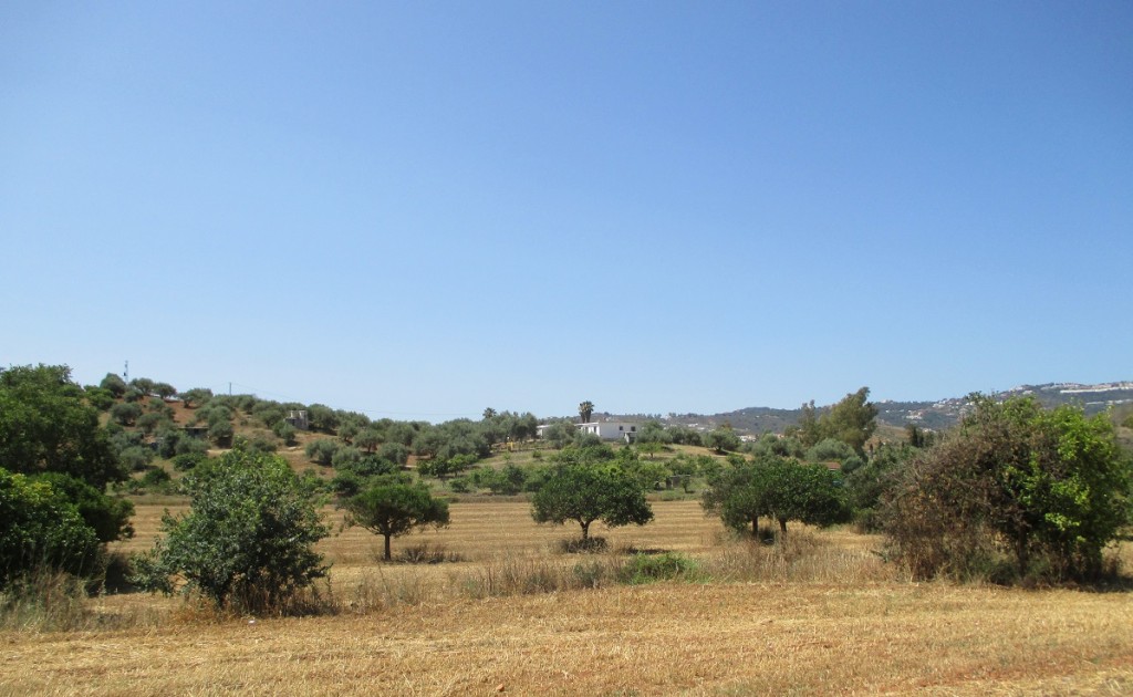 Maison de campagne à vendre à Mijas 1