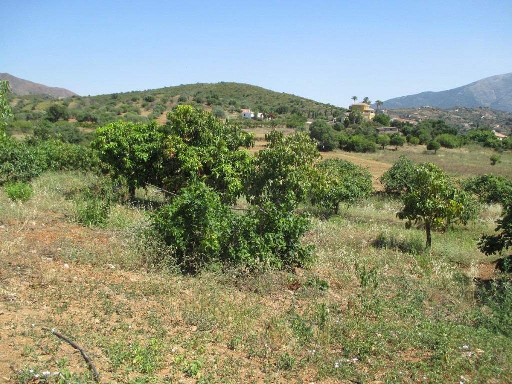 Maison de campagne à vendre à Mijas 8