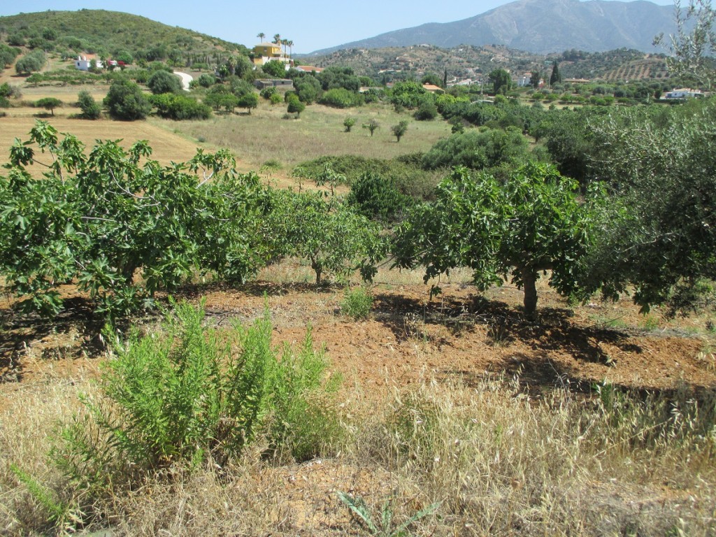 Maison de campagne à vendre à Mijas 9