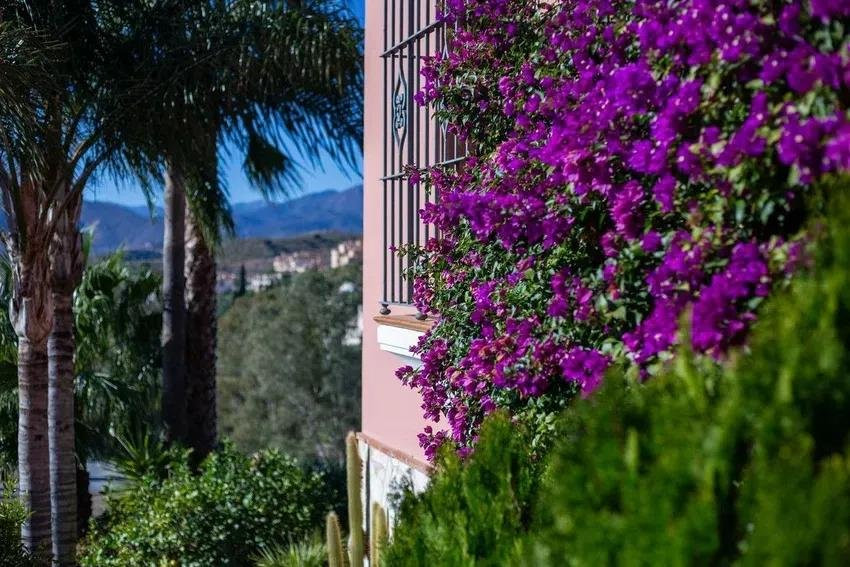 Villa à vendre à Mijas 21