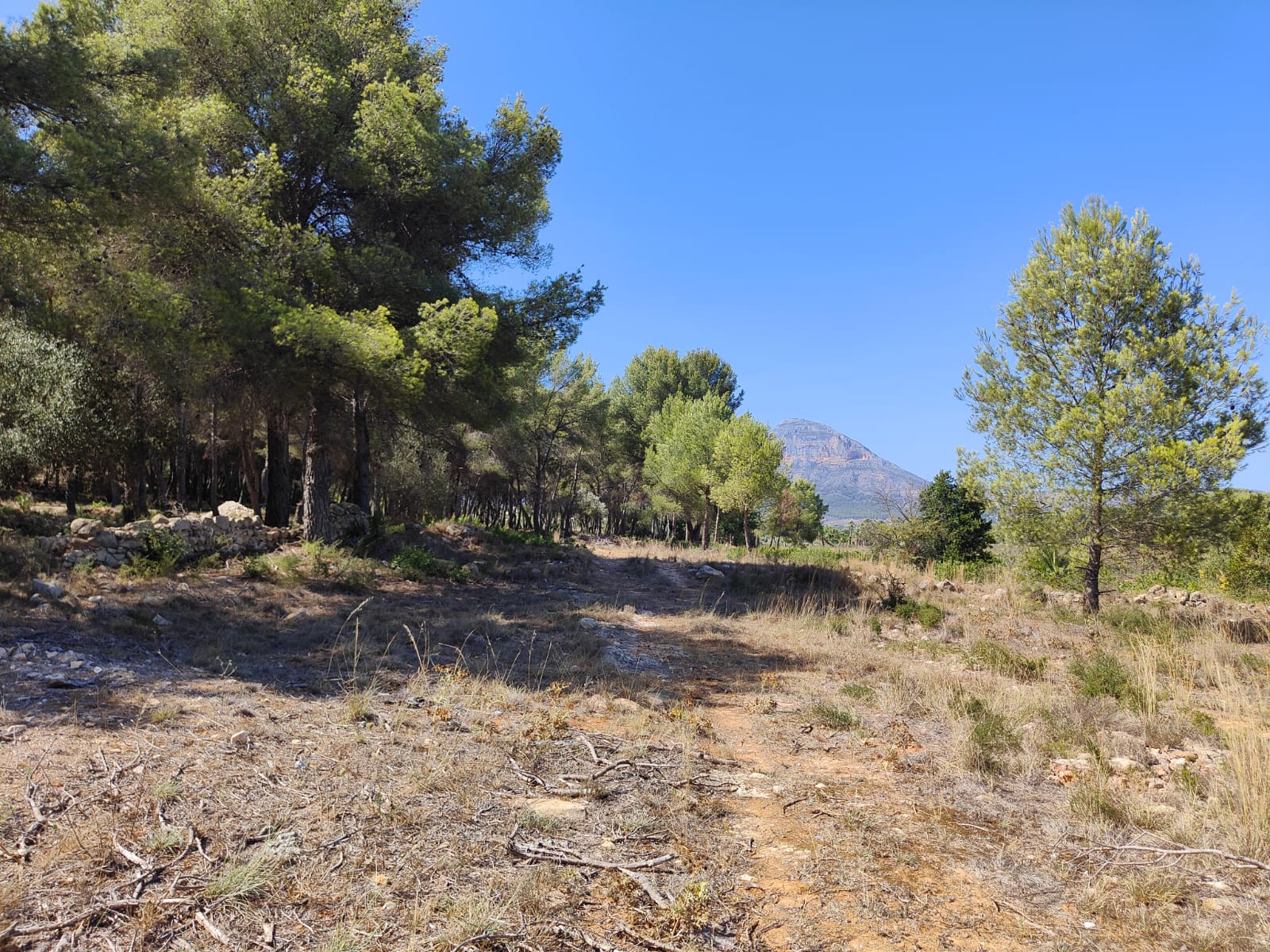 Property Image 632451-tesoro-de-javea-plot