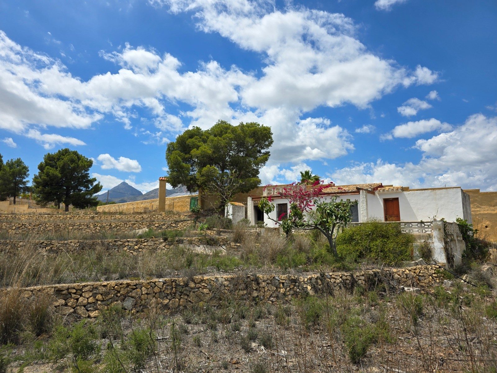 Villa à vendre à Alicante 10