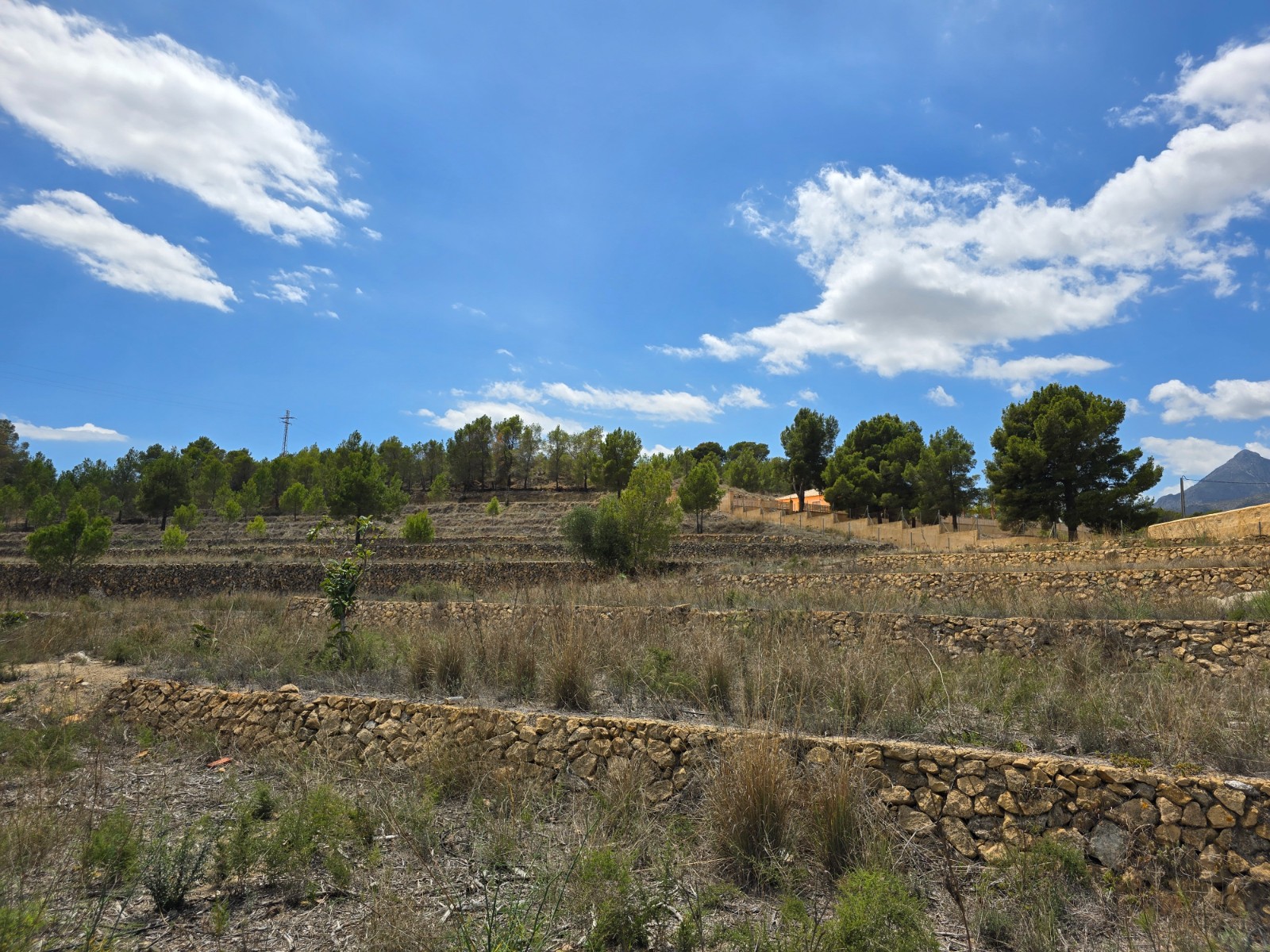 Villa te koop in Alicante 11