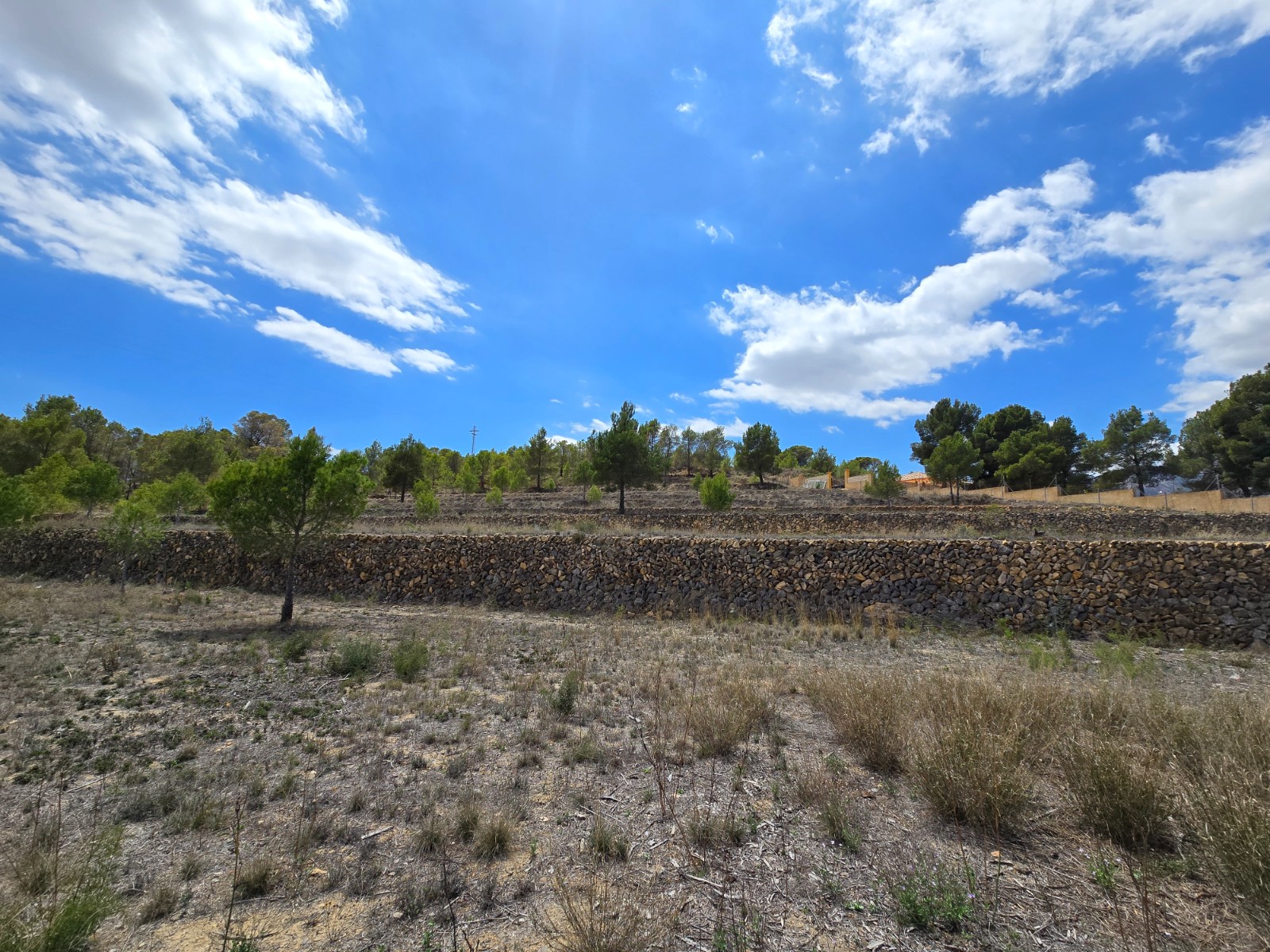 Villa à vendre à Alicante 14