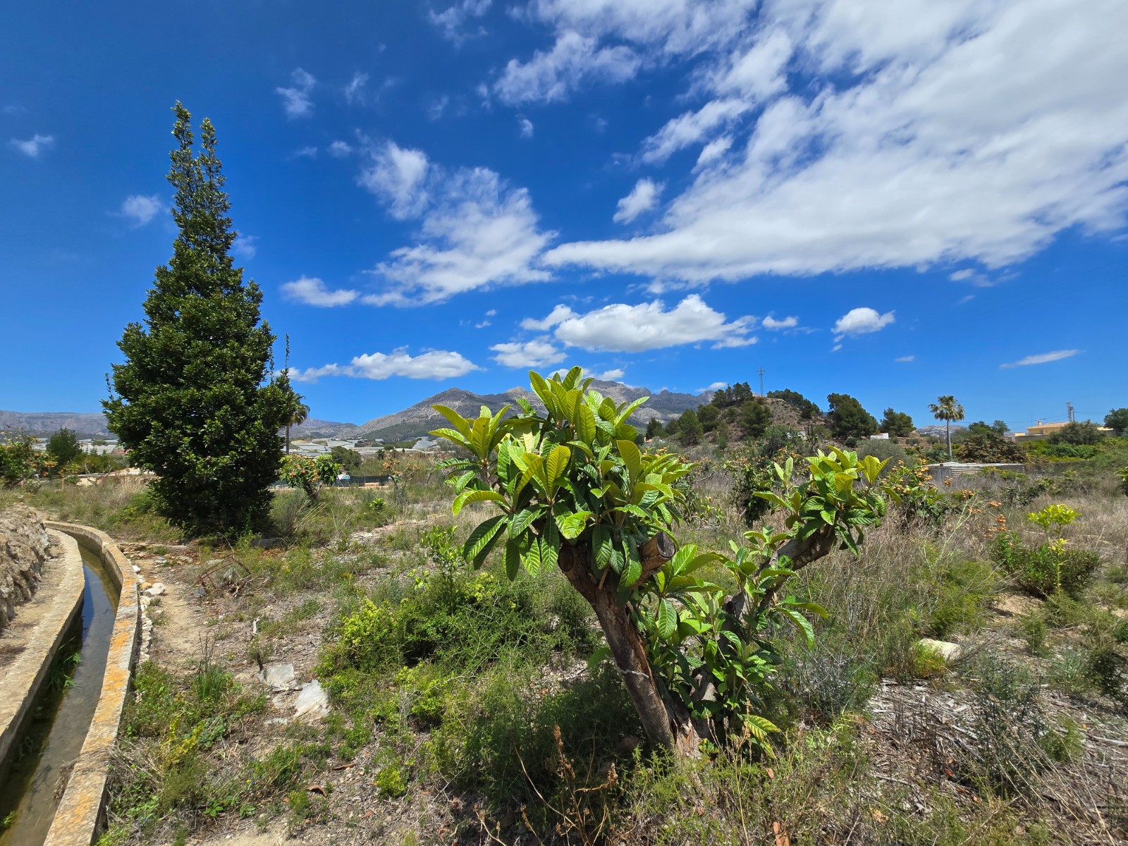 Villa à vendre à Alicante 15