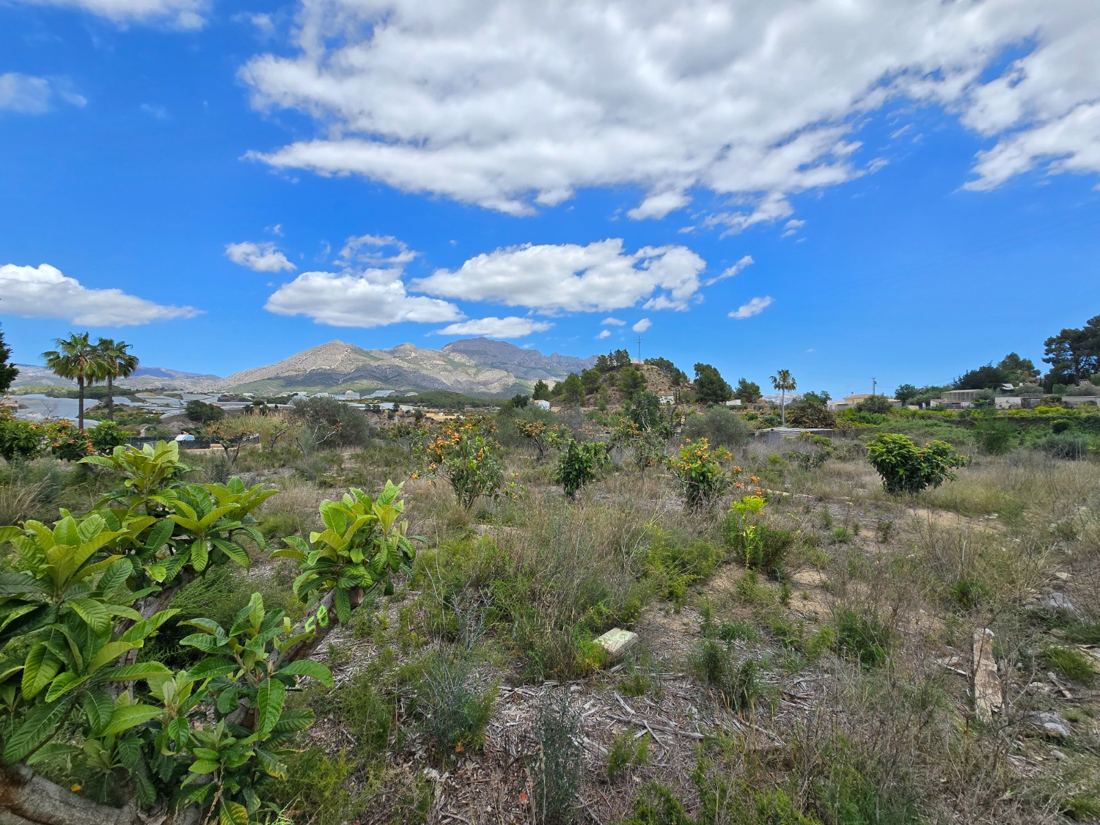 Villa à vendre à Alicante 4