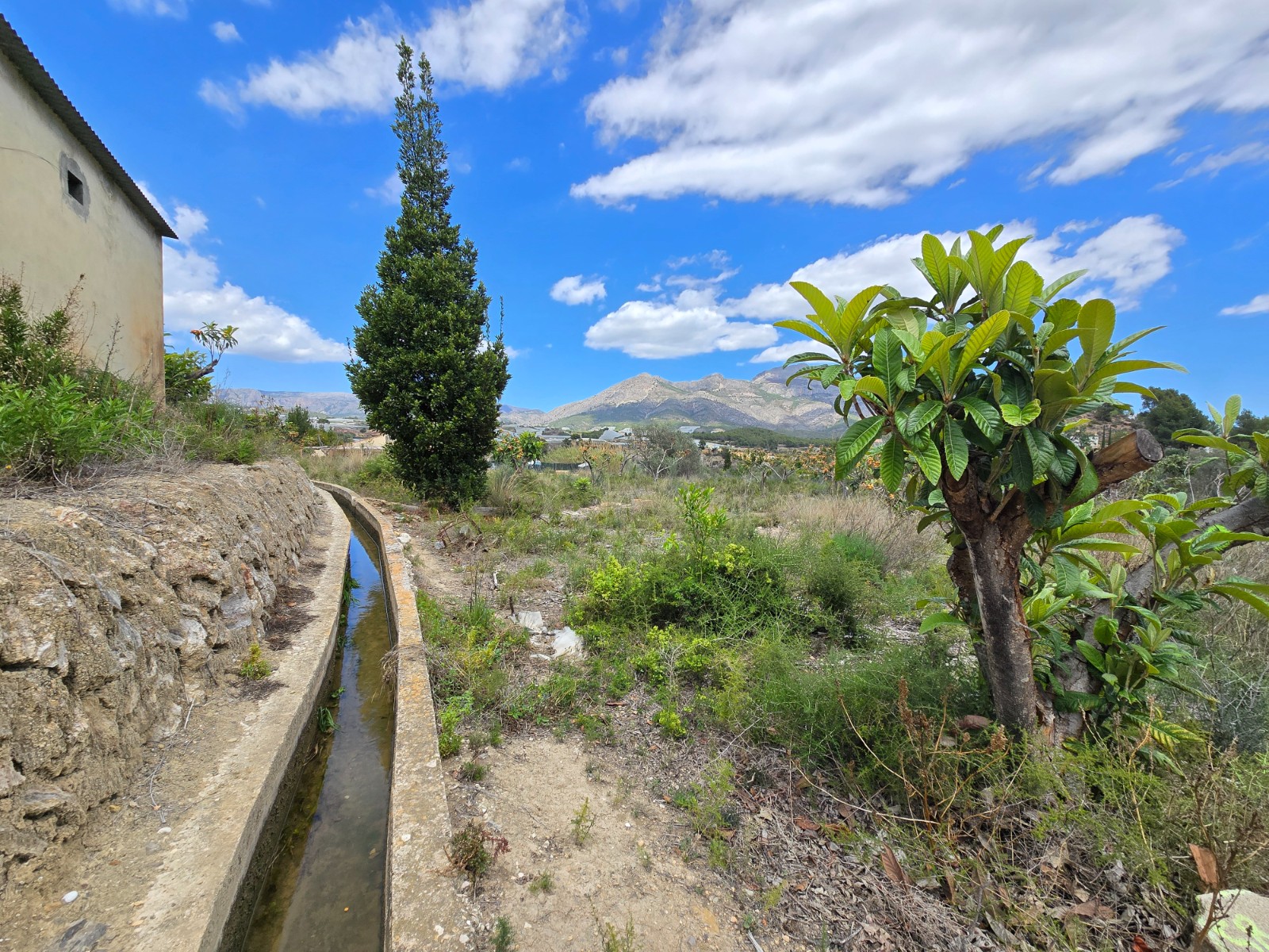 Villa à vendre à Alicante 5