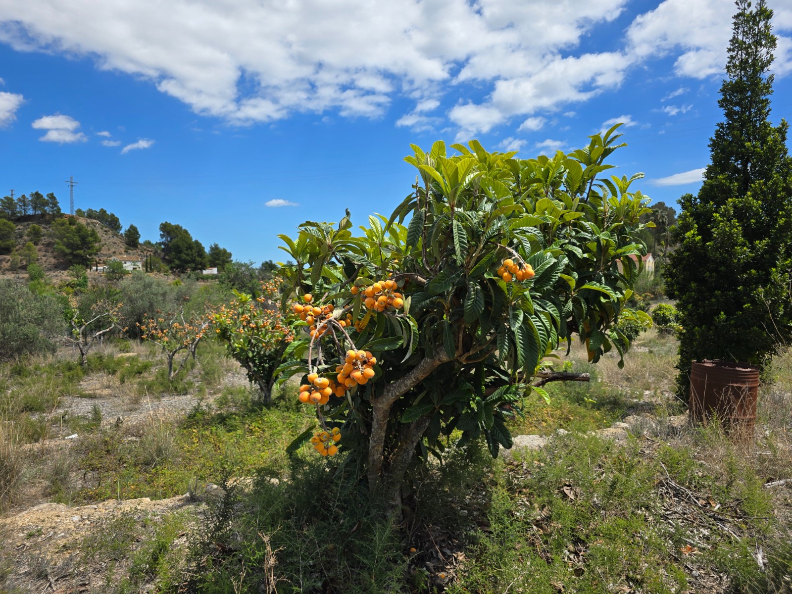 Вилла для продажи в Alicante 9