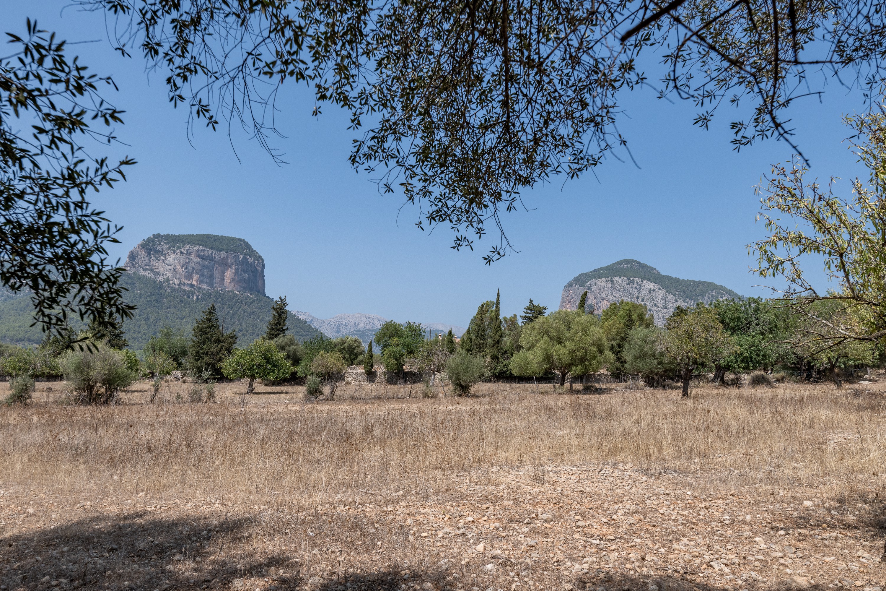 Landhaus zum Verkauf in Mallorca East 12