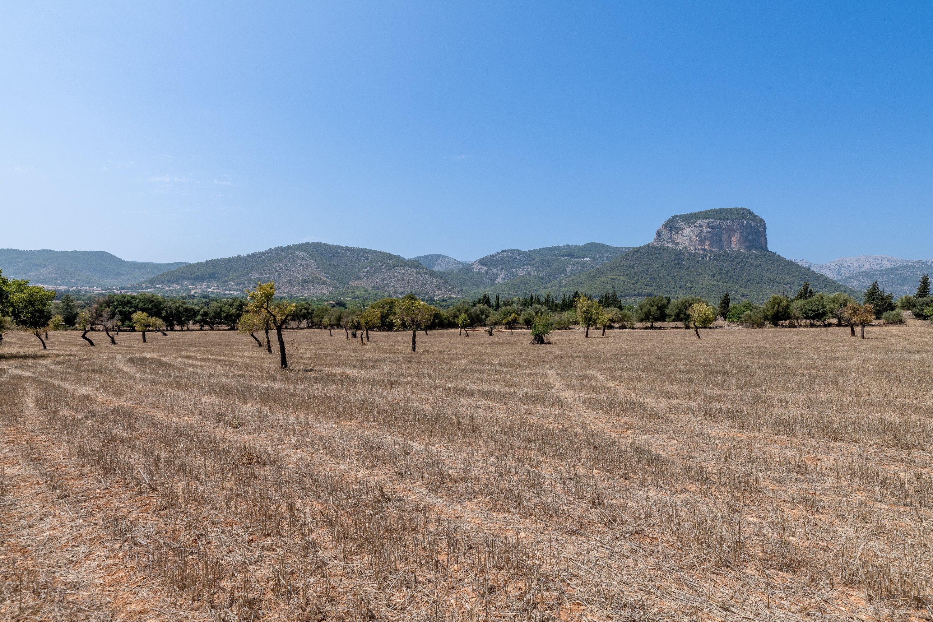 Landhaus zum Verkauf in Mallorca East 16