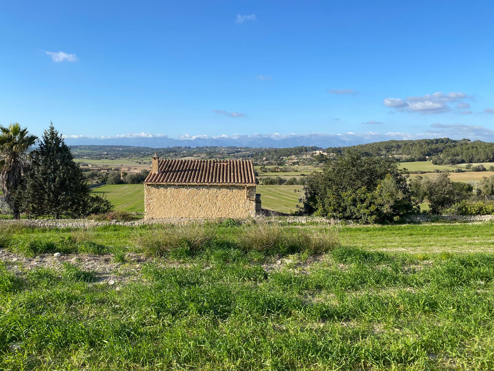 Countryhome for sale in Mallorca East 13