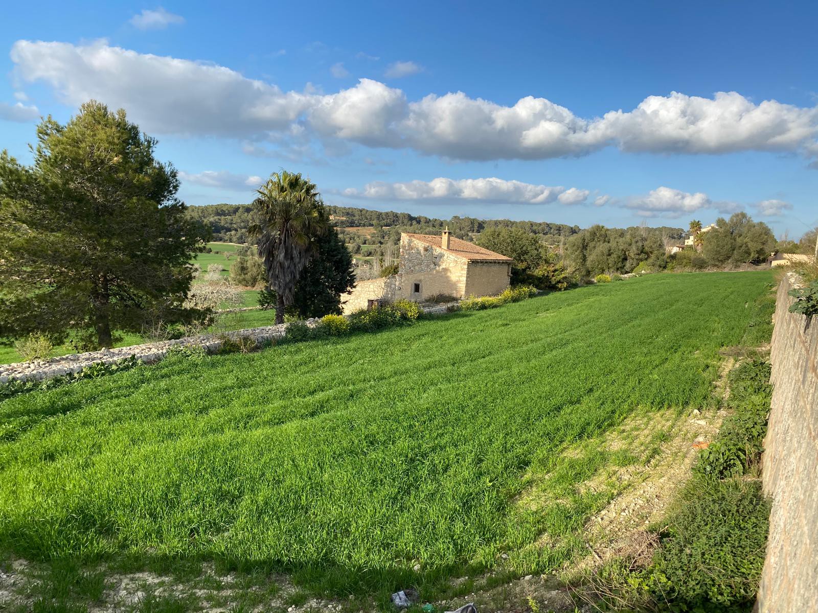 Landhaus zum Verkauf in Mallorca East 15