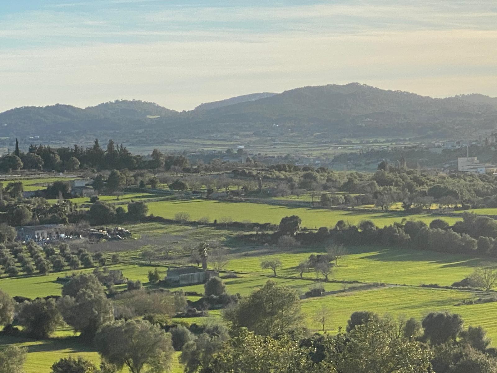 Maison de campagne à vendre à Mallorca East 16