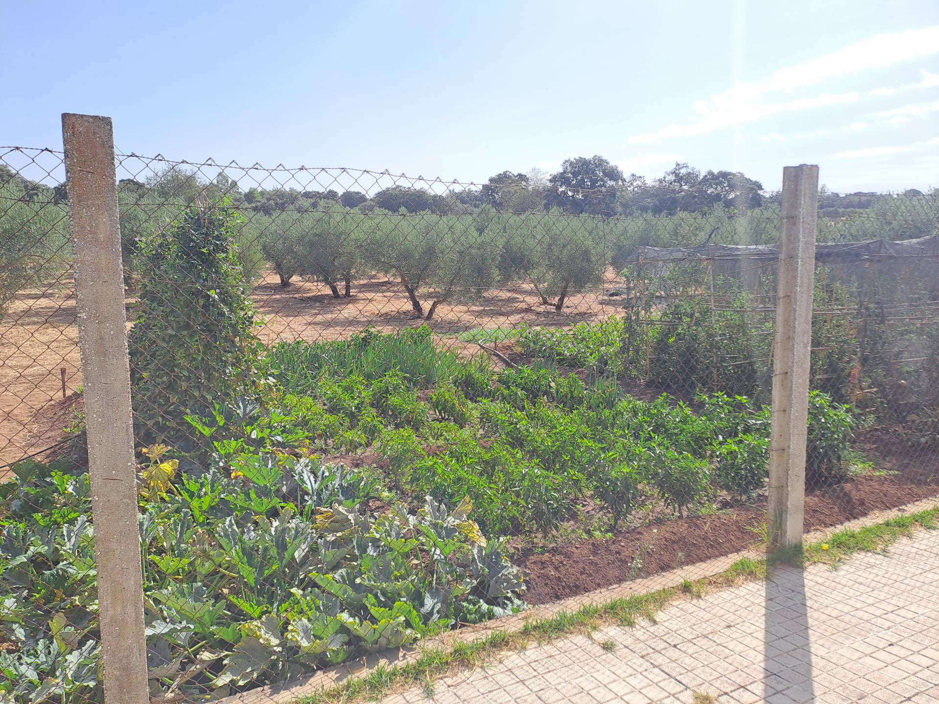 Countryhome for sale in The white villages of Sierra de Cádiz 10