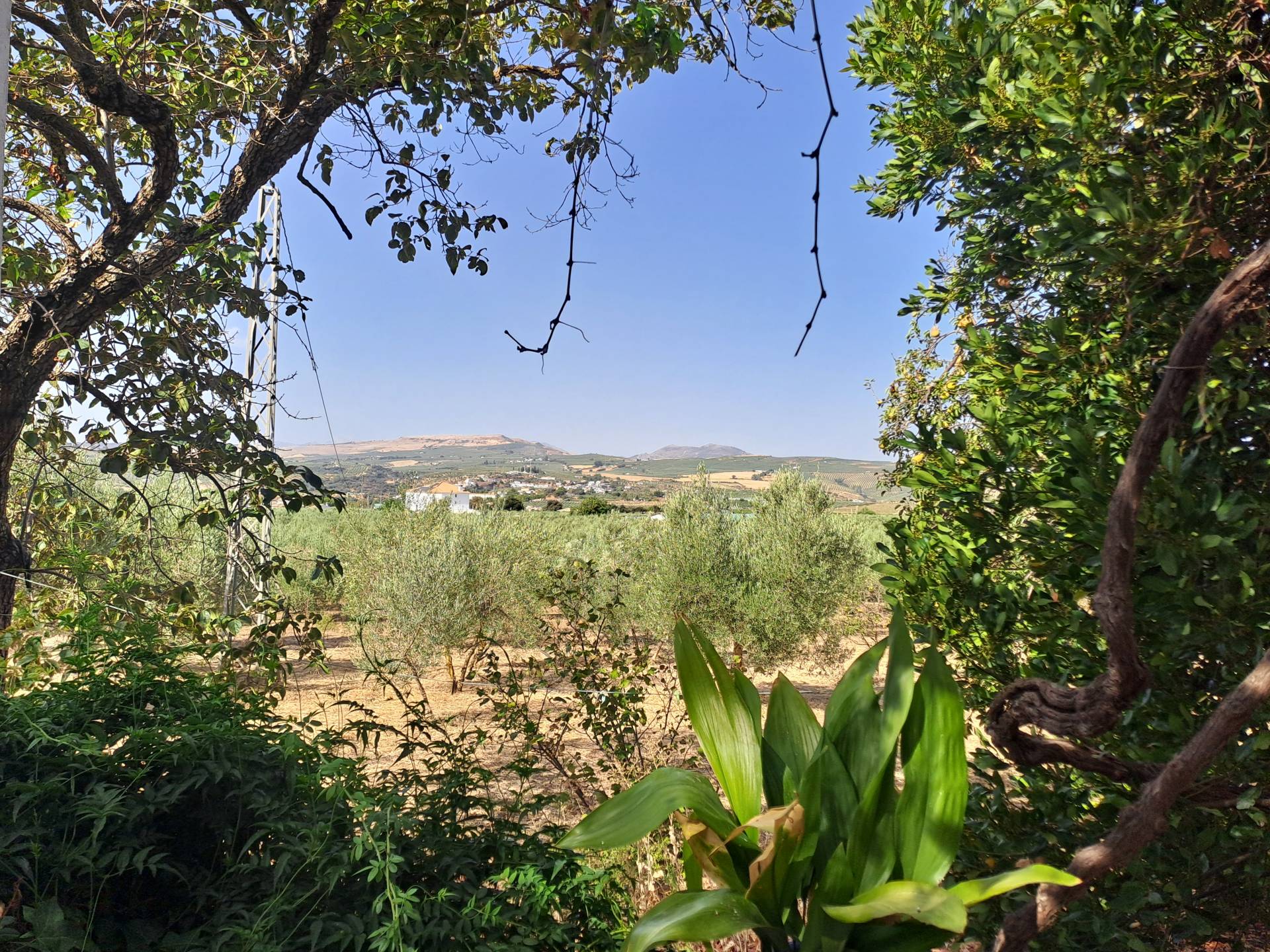 Maison de campagne à vendre à The white villages of Sierra de Cádiz 11