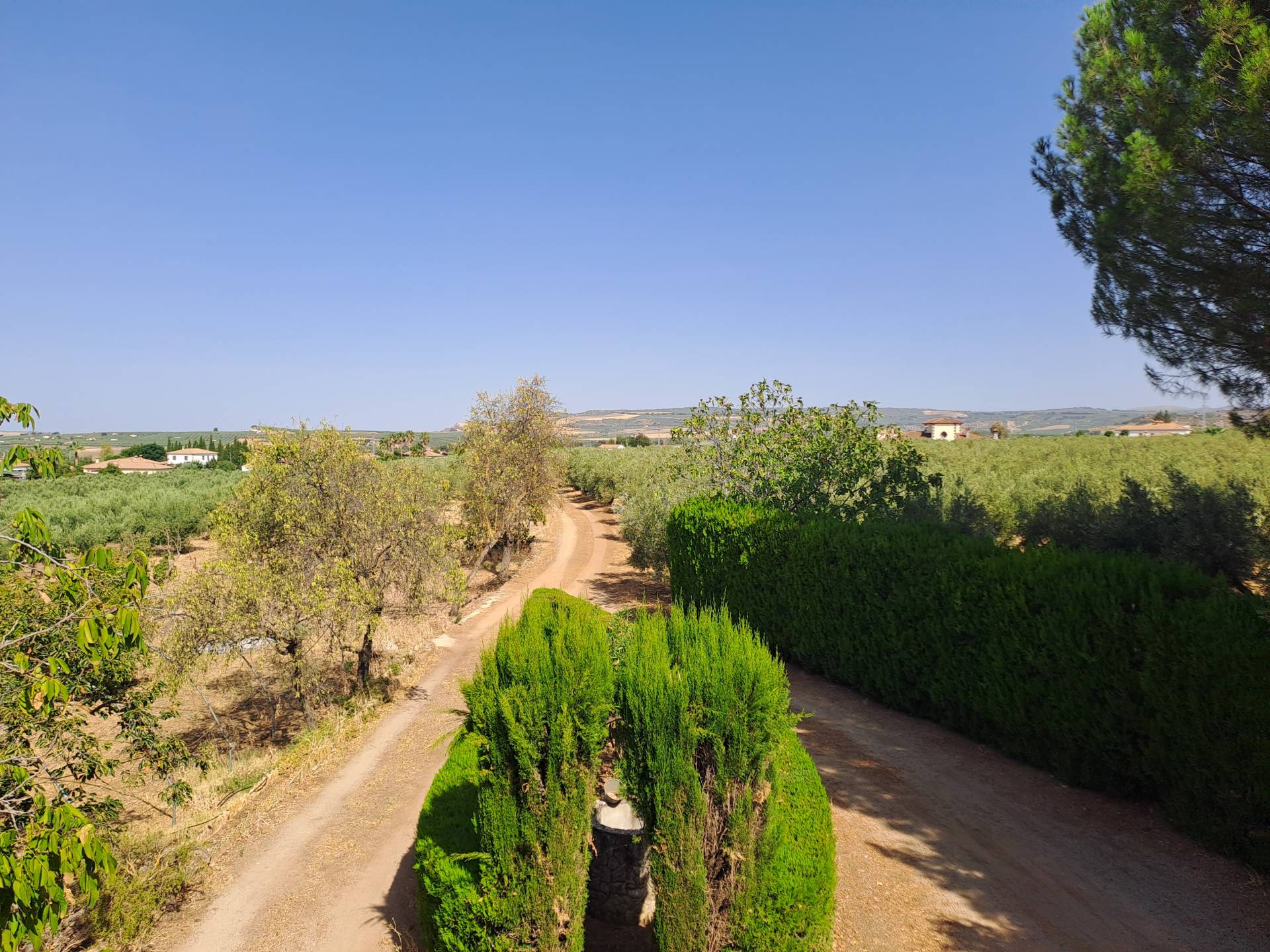 Hus på landet till salu i The white villages of Sierra de Cádiz 14