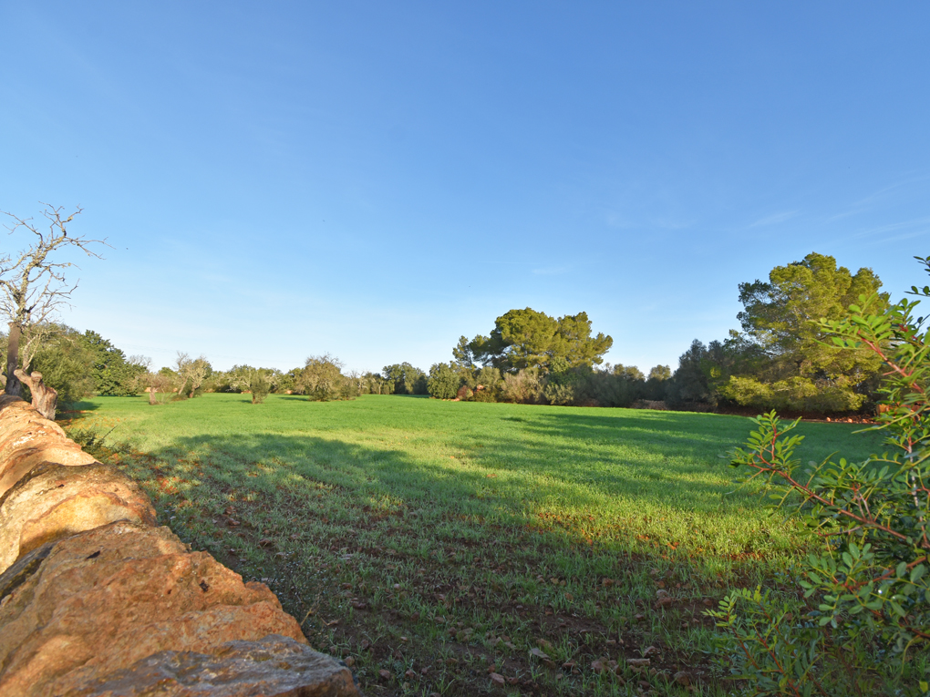 Property Image 635776-llucmajor-plot